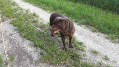 IMG-20250609-WA0023