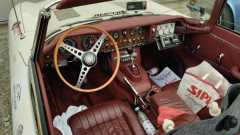 IMG-20230623-WA0029