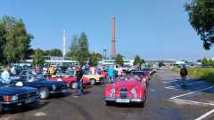 WhatsApp-Bild-2024-06-28-um-09.29.47_5f9590a3