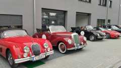 WhatsApp-Bild-2024-06-28-um-16.11.04_4fff6ee7