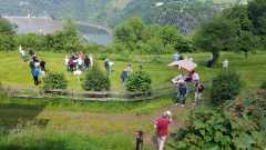 IMG-20240520-WA0015