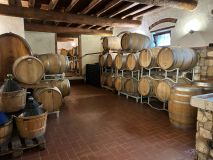 WhatsApp-Bild-2025-04-13-um-18.55.13_d01b754c