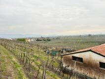 WhatsApp-Bild-2025-04-13-um-18.55.14_5f3be545