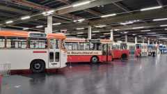 IMG-20241227-WA0016