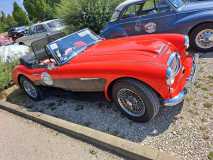 IMG-20240824-WA0022