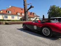 IMG-20250818-WA0007