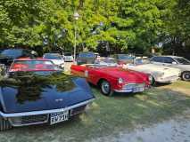 IMG-20250818-WA0022