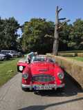 IMG-20250818-WA0035