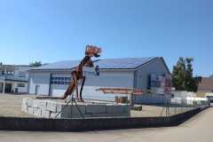 TDN 2025 - gesammelt 