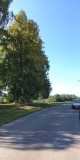 IMG-20250816-WA0014