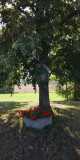 IMG-20250816-WA0015