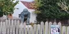 IMG-20250817-WA0019