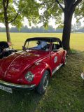 IMG-20250819-WA0000