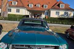 IMG-20260816-WA0006