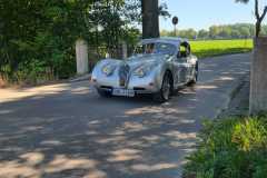 IMG-20260816-WA0063