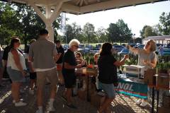 IMG-20260816-WA0117