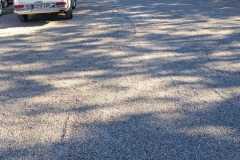 IMG-20260819-WA0012