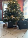 WhatsApp-Bild-2024-12-29-um-07.11.45_f31dd577